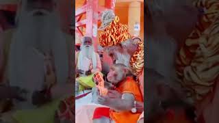 Bhajan Bine Are bhaiya bhajan bina bhajan youtubeshorts youtube hanuman [upl. by Muns]