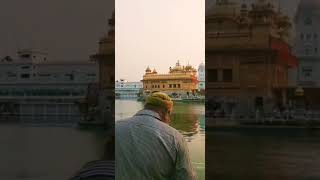 Ek tera hi darbas Sacha shorts amritsar ytshorts [upl. by Reace]