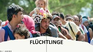 Was Kälteflüchtlinge trotz Klimaerwärmung🙆 [upl. by Attenyl]