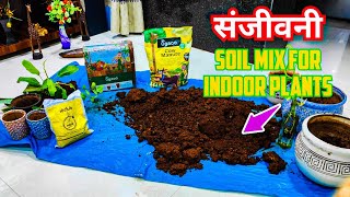 How to prepare SANJEEVANI soil mix for Indoor plants [upl. by Leopold]