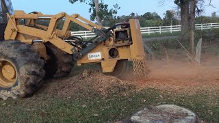 Hydro AX With a Stump Grinder Grinding Pine Stumps [upl. by Enigroeg]