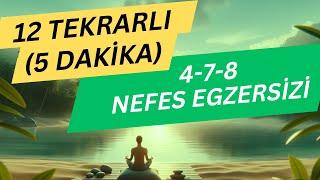 478 NEFES TEKNİĞİ  12 DEFA  Nefes Egzersizleri Nasıl Yapılır  Nefes Egzersizleri Meditasyon [upl. by Huntley]