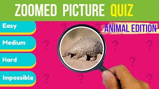 99 FAIL Can you guess the zoomed in picture  ANIMALS Edition 🐻🐵🐅🐊Easy Medium Hard amp IMPOSSIBLE [upl. by Skoorb771]