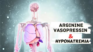 Arginine Vasopressin And Hyponatremia [upl. by Dorise]