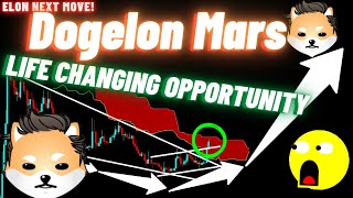 Dogelon Mars Crypto Coin ELON  Life Changing Opportunity [upl. by Asserrac713]