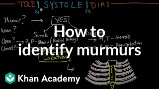 How to identify murmurs  Circulatory System and Disease  NCLEXRN  Khan Academy [upl. by Atiuqehc38]