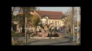 Vreme je za bebe 200512flv [upl. by Dilaw]