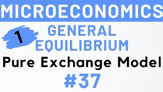 37 General Equilibrium Pure Exchange Model MEC 101 IGNOU  Kanishka Luthra [upl. by Montagna781]