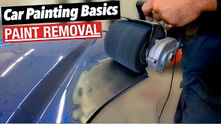 The DIY ANSWER to OLD Paint Removal [upl. by Jerome]