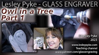 3D Glass engraving for beginners Barn Owl in a tree part 1 [upl. by Halbeib]