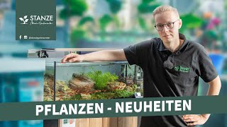 7 Wasserpflanzen Neuheiten für dein Aquarium [upl. by Nonnahc]