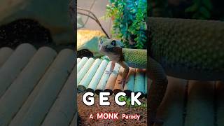 GECK A Parody of MONK adrianmonk leopardgecko funnyanimal lieutenantpancake [upl. by Ashwin723]