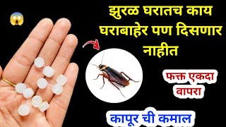 झुरळ घालवण्यासाठी सर्वात सोपा उपाय 😱 kitchen tips  takau pasun tikau  cockroach killer  marathi [upl. by Eekorehc776]