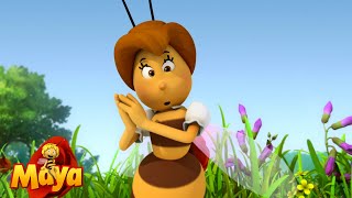 Hannah the Exchange Bee  Maya the Bee🐝🍯🐝 [upl. by Warthman]