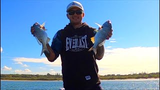 BAIT FISHING Maroochy River Maulers [upl. by Conn]