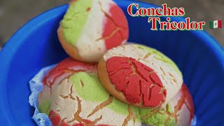 Receta de conchas pan dulce tricolor 🇲🇽🤩 [upl. by Aneerbas]