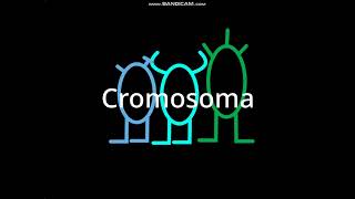 Cromosoma Logo Bloopers Take 2 Cyan replaces Red [upl. by Hicks744]