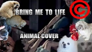 Evanescence  Bring Me To Life Animal Cover REUPLOAD [upl. by Lonergan]