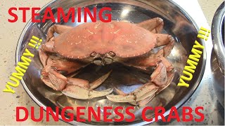 How to Cook and Shell Crab Dungeness Crab Breakdown 😋 [upl. by Market151]