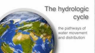 Water  video2  The hydrologic cycle [upl. by Ahseel195]