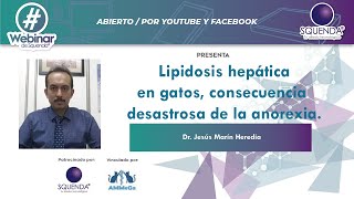 Lipidosis Hepática En Gatos Consecuencia Desastrosa De La Anorexia  Dr Jesús Marín Heredia [upl. by Paquito905]