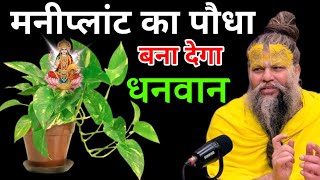 मनीप्लांट में घर का ऐसा पानी भूलकर भी मत डालना बना देगा धनवान premanandjimaharaj [upl. by Lud773]