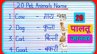 20 Pet Animals Name in hindi and english  पालतू जानवरों के नाम  pet animals  pet animals name [upl. by Shira]