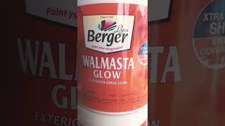 Walmasta Glow Paint The Ultimate Color Showcase [upl. by Aeresed]