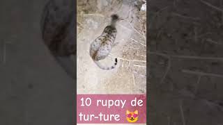 10 rupay de tur ture funny comedy cutebaby cute trending ashortaday [upl. by Lizzie]