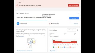 Google Merchant Center suspended misrepresentation  We Fixed 2 accounts [upl. by Antrim246]
