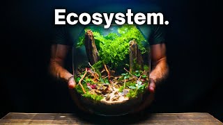 Creating a Beautiful Terrarium Ecosystem A Step By Step Guide [upl. by Yrelle719]