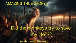 Insane moment when wild monkeys tried to save my life [upl. by Arikat]