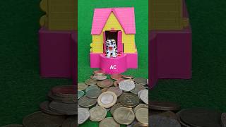 Amazing Piggy Bank collect coin review amp dog house coin collect AC590 money dog shorts [upl. by Ysdnyl]