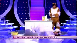 Ben amp Arnaud Tsamere 7 Les chats vontils dominer le monde  ONDAR [upl. by Nelyag605]