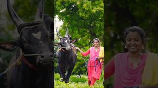 Kantha Kaalai Jallikattu jallikatt kaali tamil [upl. by Arno298]