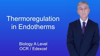 A Level Biology Revision Year 13 quotThermoregulation in Endothermsquot [upl. by Branham]