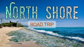 North Shore Oahu Road Trip  Ultimate Driving Road [upl. by Retsim]