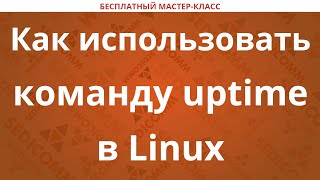 Как использовать команду uptime в Linux [upl. by Vories735]