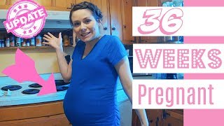 36 Weeks Pregnant  Baby Bump [upl. by Edyth]