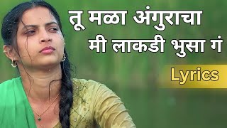 Tu Mala Angrakha Ki Lakdi Bhusa G Lyrics  Ek Phool Marathi Song Lyrics  Tu Mala Anguracha [upl. by Kceb]