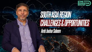 South Asia is the Least Interconnected Region of the World  ft Amb Jauhar Saleem [upl. by Haeli]