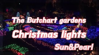 세계 3대 정원 빅토리아 부차드가든 The Butchart Gardens Christmas lightsCA [upl. by Araem]