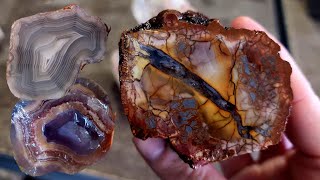 Agates of Mexico 🇲🇽  Slabbing Purple Passion 💜 Laguna amp Crazy Lace jhkalmore [upl. by Khalsa802]