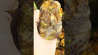 Finding gold  Natural gold catch part 43 crystals goldminers goldclothing gemstone youtube [upl. by Minny]