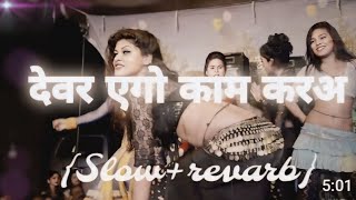 vidio  देवर एगो काम करअ  Dhananjay Dhadkan arkestra Song  slowreverb Song  lofimusic [upl. by Llyrehc]