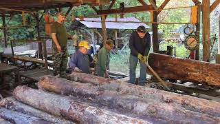 Sawmilling Lumber At My Fatherinlaws Circle Mill [upl. by Lleoj]