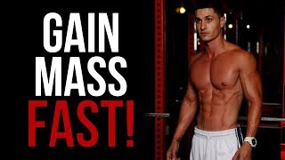 MassBuilding Ectomorph Workout Routine for Men Gain Muscle Fast [upl. by Aiyekal]