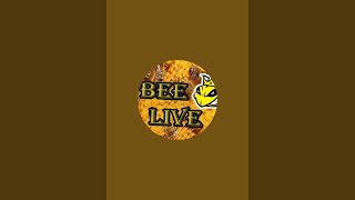 Bee Live überträgt einen Livestream [upl. by Carlita]