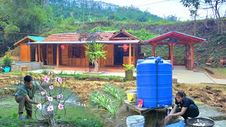 Peach blossoms in full bloom Gifts from nature Molasses boiled cassava Ask about NHATs health [upl. by Adihsar]