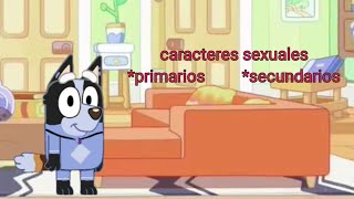 los caracteres sexuales y mas [upl. by Einnaj]